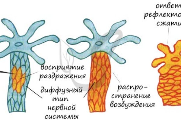 Кракен даркнет ссылка на сайт