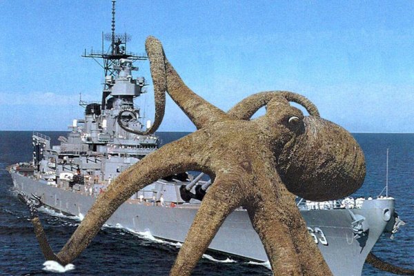 Kraken зеркало