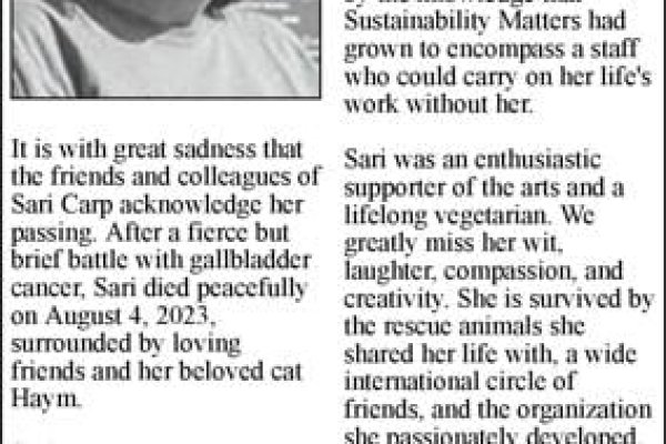 Маркетплейс кракен