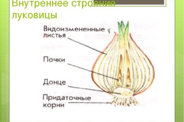 Кракен адрес сайта